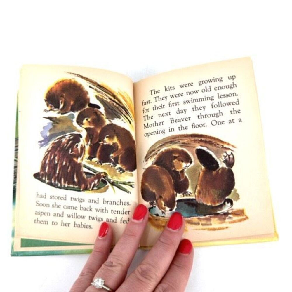 Vintage Junior Elf Book Little Beaver Nonfiction Childrens Learning Rand McNally - Picture 5 of 11